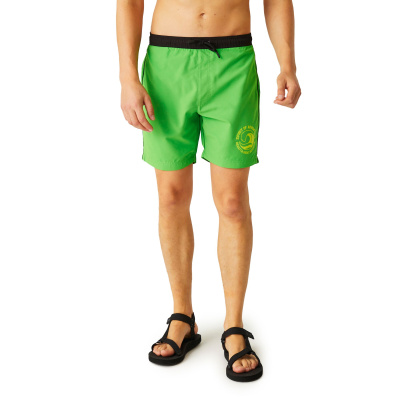 Men`s Bentham Swim Shorts, 24H, M