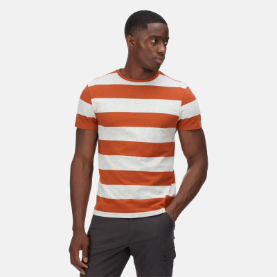 Men`s Brayden Stripe T-Shirt
