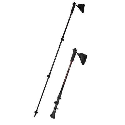 Nūjošanas nūjas Nordic Walking Pole Pair, 800, SGL