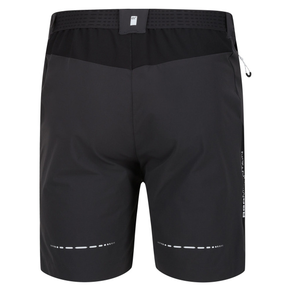 Men`s Mountain II Walking Shorts, 61G, 36