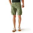 Vīriešu šorti Ruwan Casual Shorts, 9B9, 33
