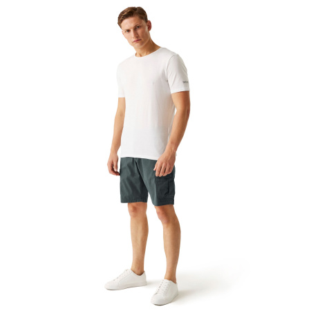 Vīriešu šorti Ruwan Casual Shorts, 038, 38