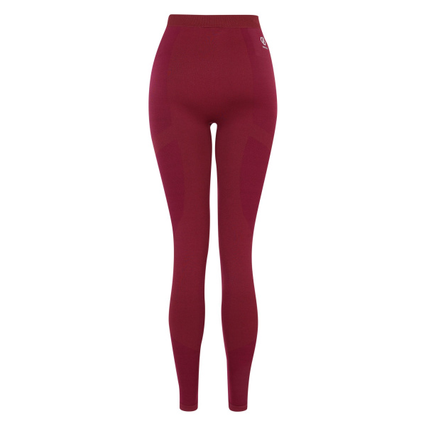 Women`s Dare 2b In The Zone Legging, 909, S